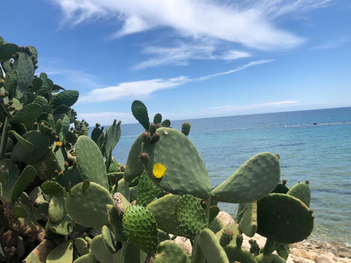 Villa Santa Barbara أفولا المظهر الخارجي الصورة